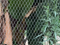 Δίκτυο σχοινιάς από ανοξείδωτο χάλυβα Δίκτυο σχοινιάς από μεταλλικό σύρμα Δίκτυο σχοινιάς Ferrule Zoo Mesh Διαμαντένια σχήμα πλέγμα δομή