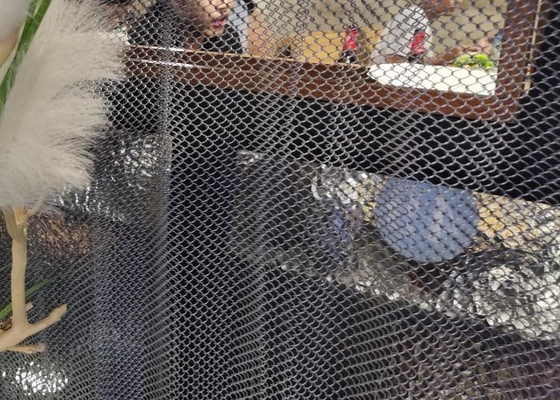Εύκαμπτη διακοσμητική κουρτίνα 2mm πλέγματος καλωδίων υφασματεμποριών για τη διακόσμηση ξενοδοχείων