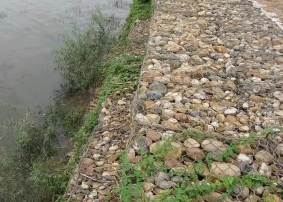 Το γκρίζο PVC έντυσε το εξαγωνικό πλαίσιο 2.8mm Gabion διάμετρος καλωδίων