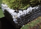 Γαλβανισμένο συρμάτων Gabion διατηρώντας τοίχων ορθογωνίων καλάθια που ντύνεται PVC χαλύβδινων