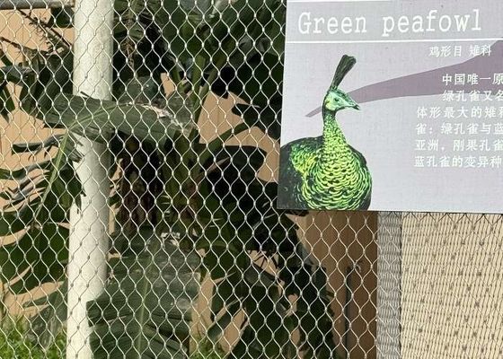 Ρομβοειδής τρύπα Ζωολογικός σχοινί ιστός από ανοξείδωτο χάλυβα Ευέλικτο σχοινί για κλουβιά ζώων