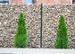 Ο βαρύς ψευδάργυρος έντυσε τη γαλβανισμένη τοίχων μορφή τρυπών καλαθιών τετραγωνική για τους κήπους/τα πάρκα